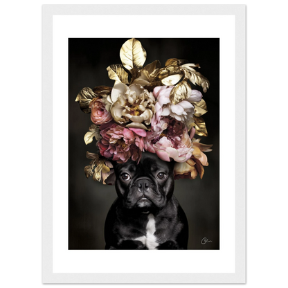 135966c5-3488-44ad-9cfd-ea367242a60a