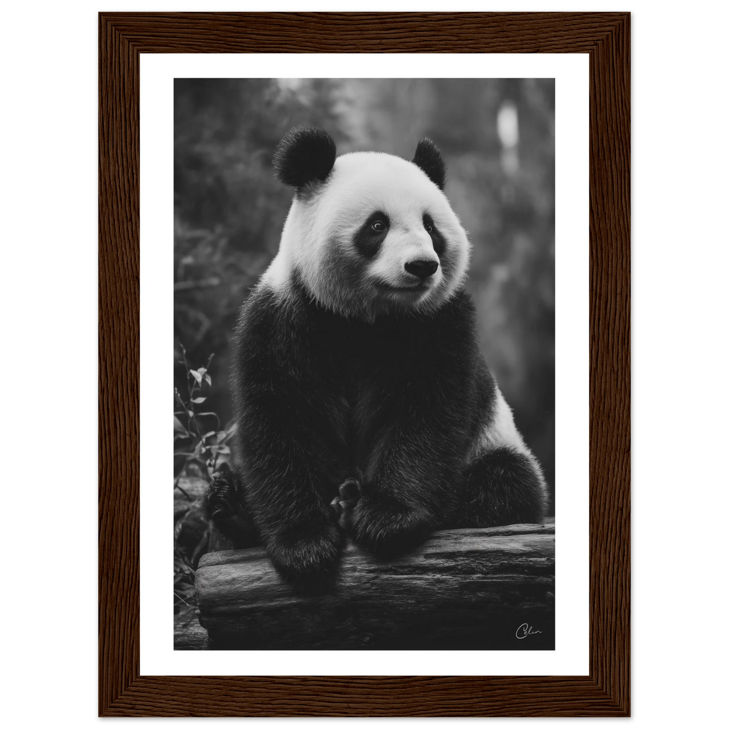 172f6c11-6793-4006-86e6-0a7b68a3c89a