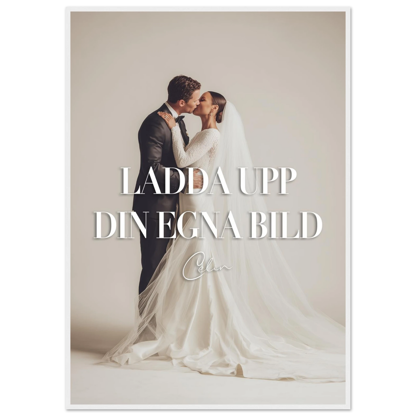 19cfb932-3aea-46ef-857b-cd92666d84d1