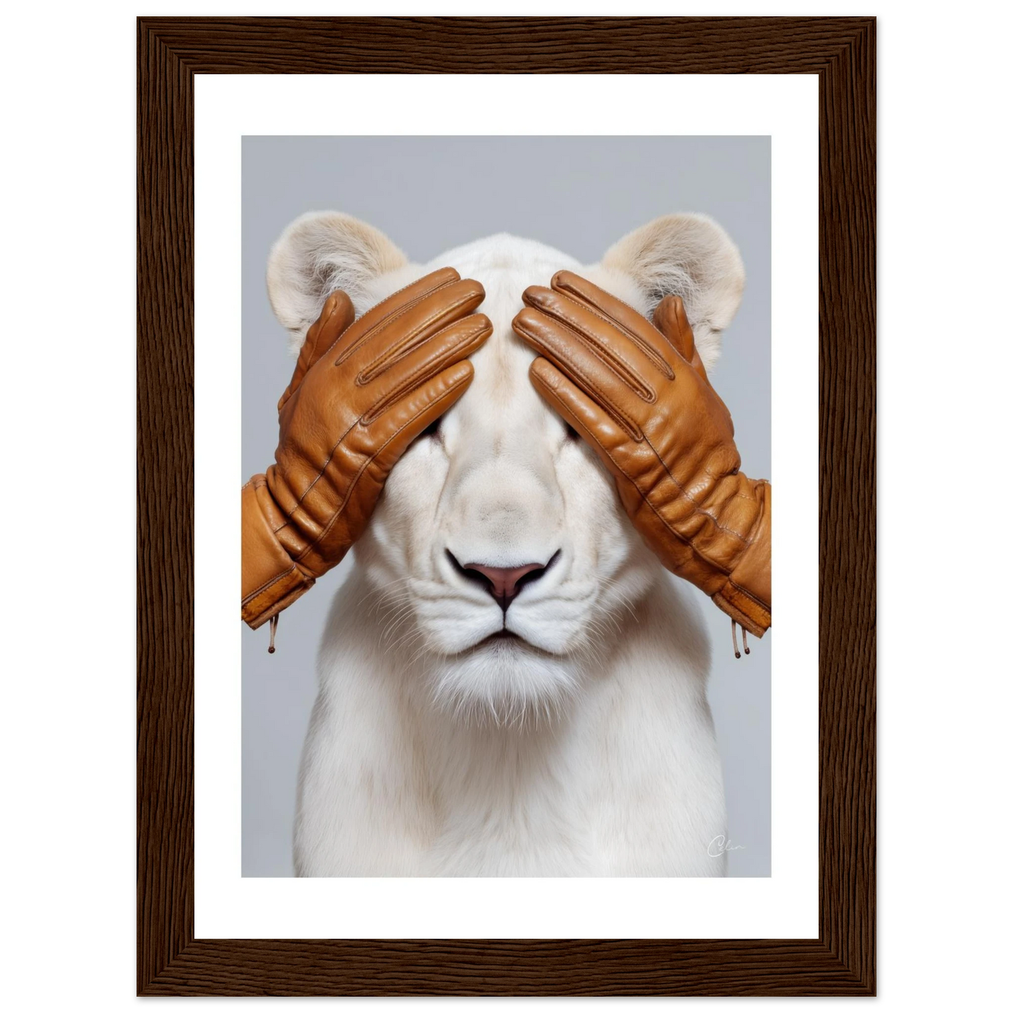 1a894641-bf73-4f4b-b2d6-1bded049f684