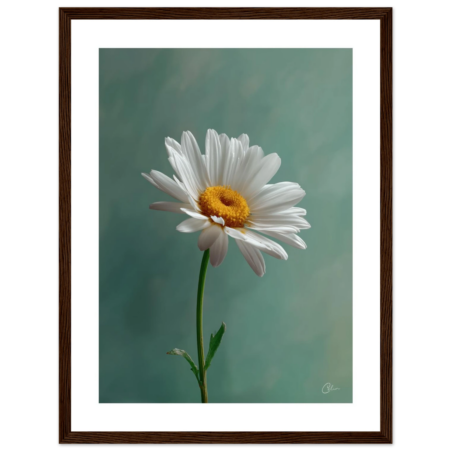 1b0b4f4f-b1fc-4108-b6dd-3e6d843ab7ca