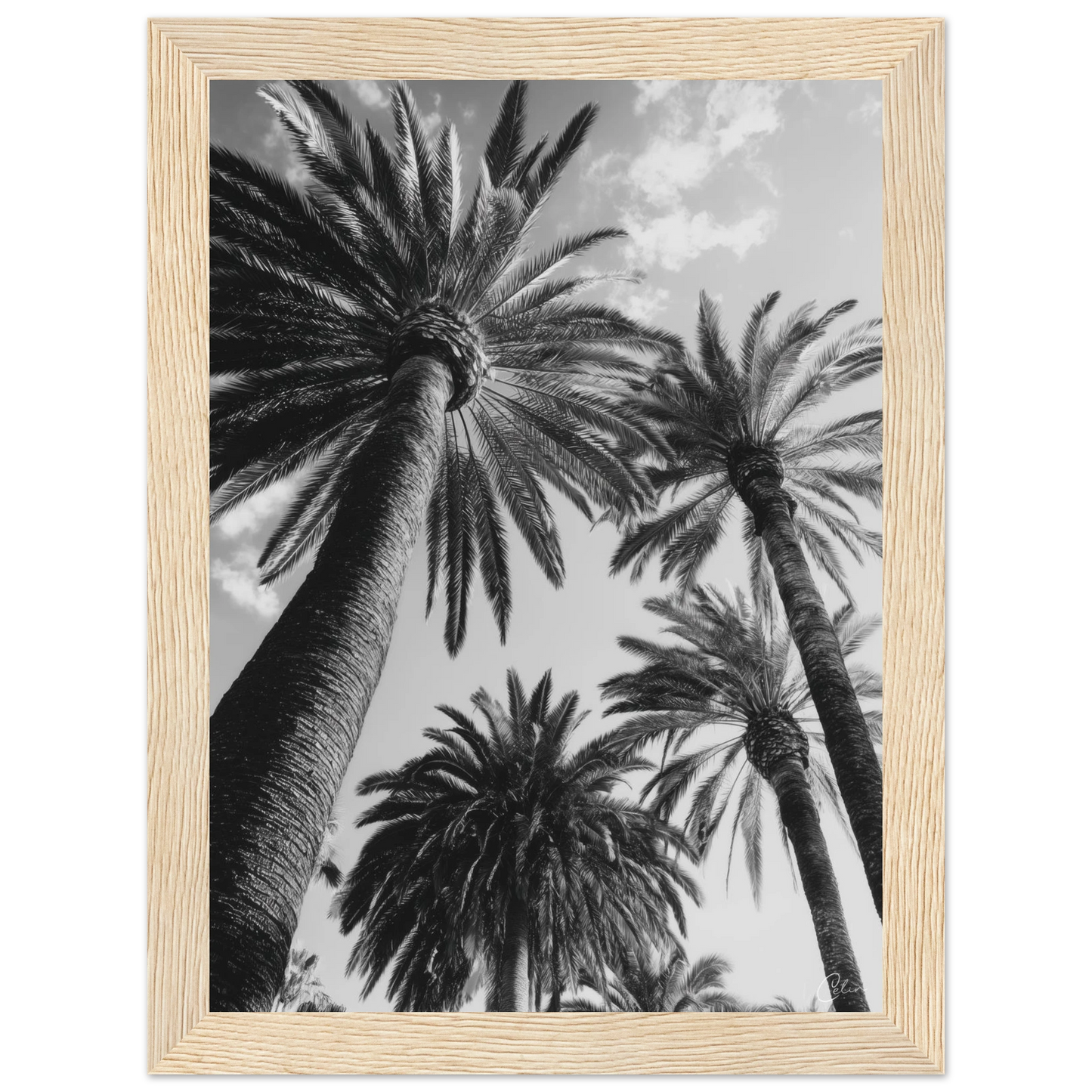 1b87279d-ba95-4c5b-ae03-0beabc48f219