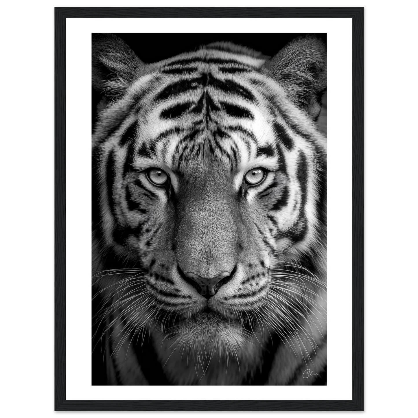 1c62c083-6b63-453f-af75-c54b42336337