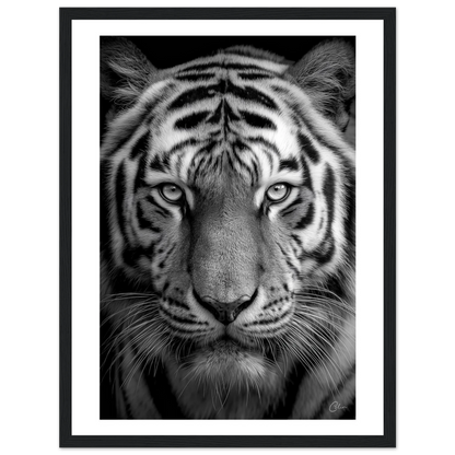 1c62c083-6b63-453f-af75-c54b42336337