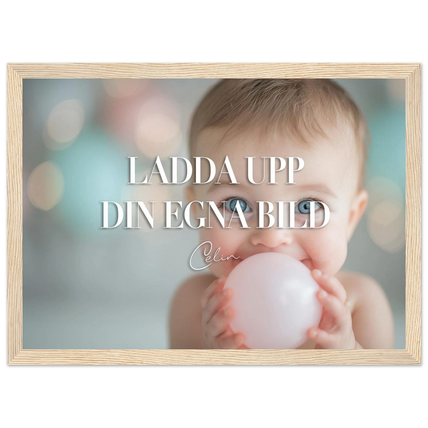 1d580634-03cc-4957-8ed7-96ee048be2ac