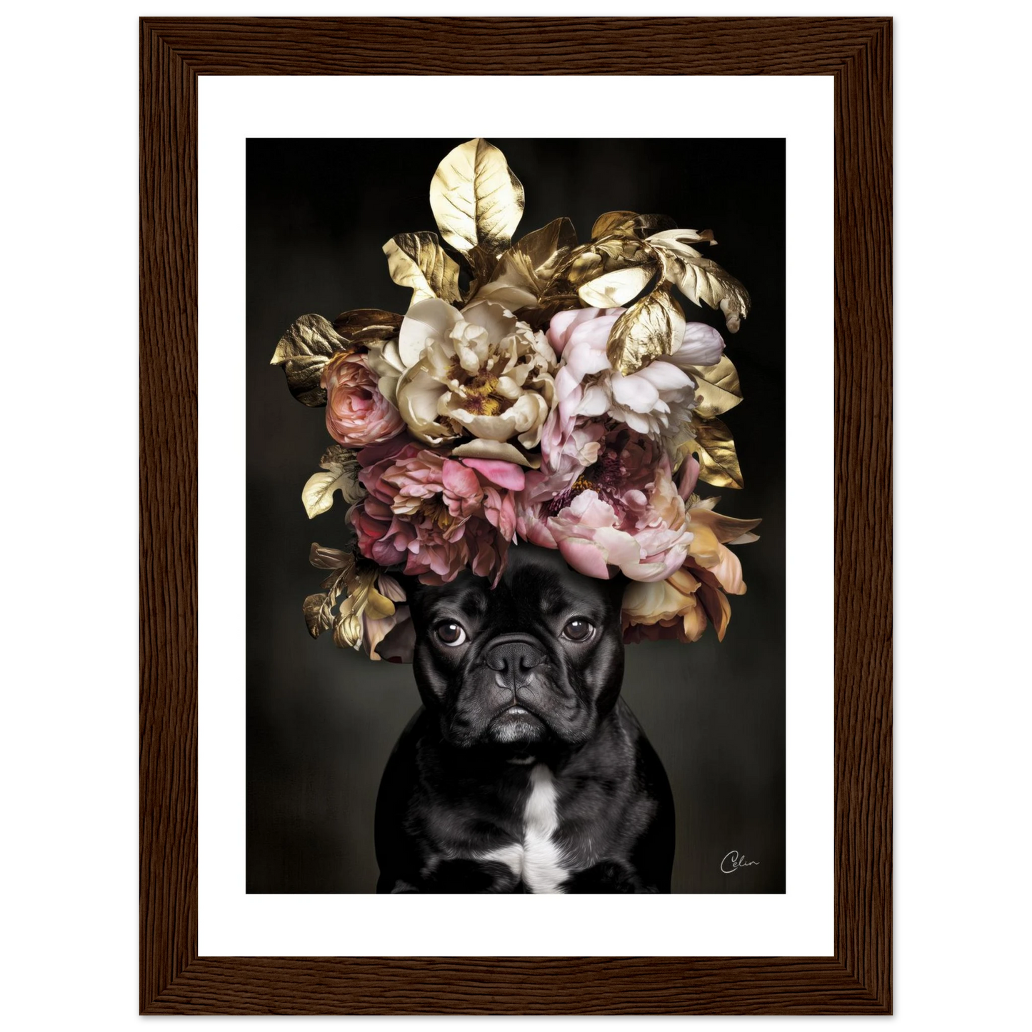 1de4d139-614a-4c47-8548-304e73f1b908