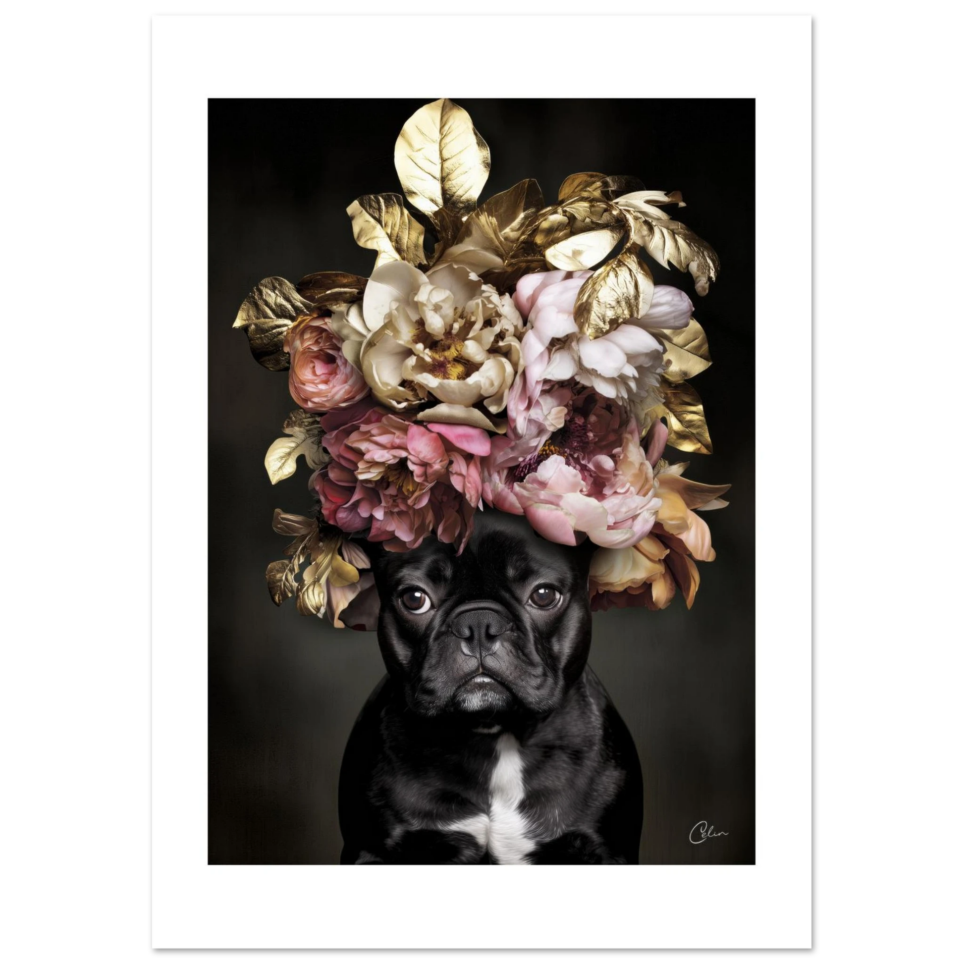 1df91dbb-4a3b-4d30-95c7-5c343cdad6d1