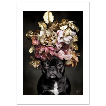 1df91dbb-4a3b-4d30-95c7-5c343cdad6d1