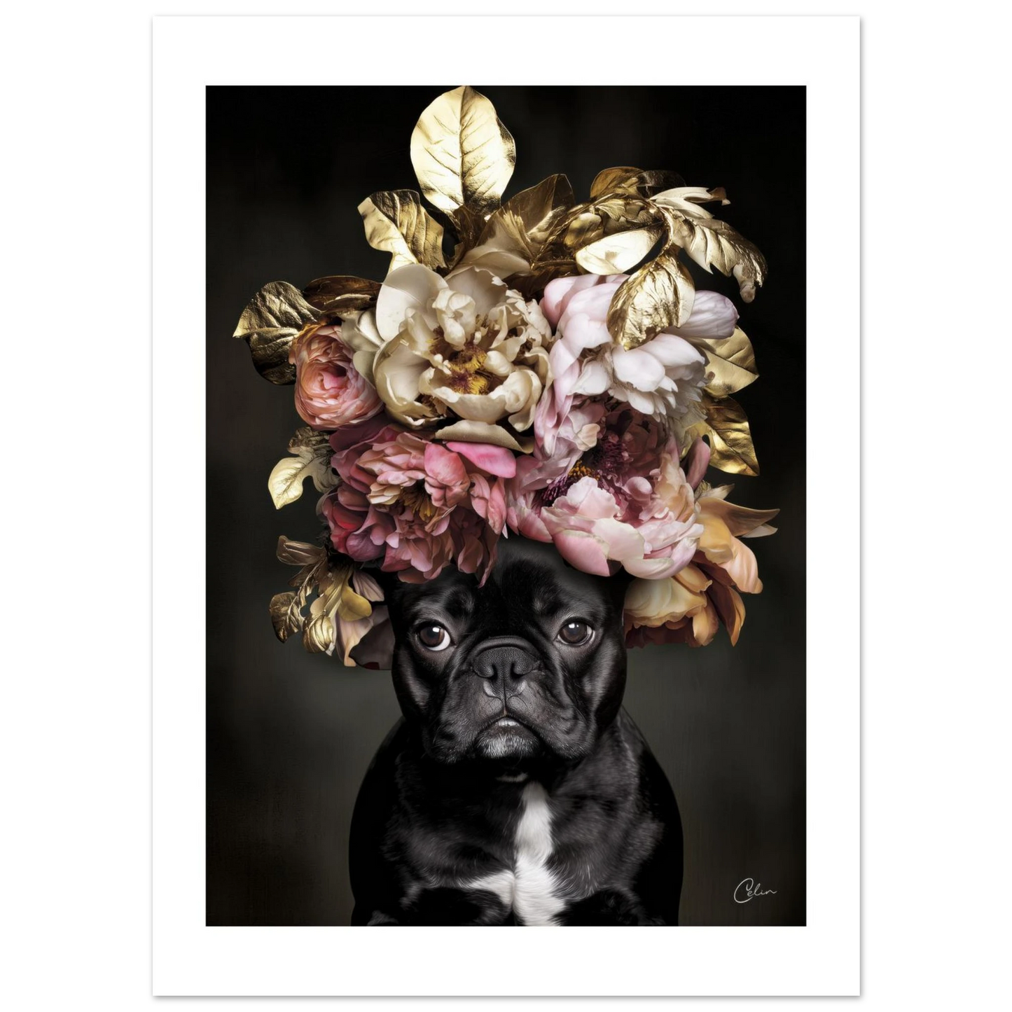 2071b68e-1e62-4f64-b332-456a08843113