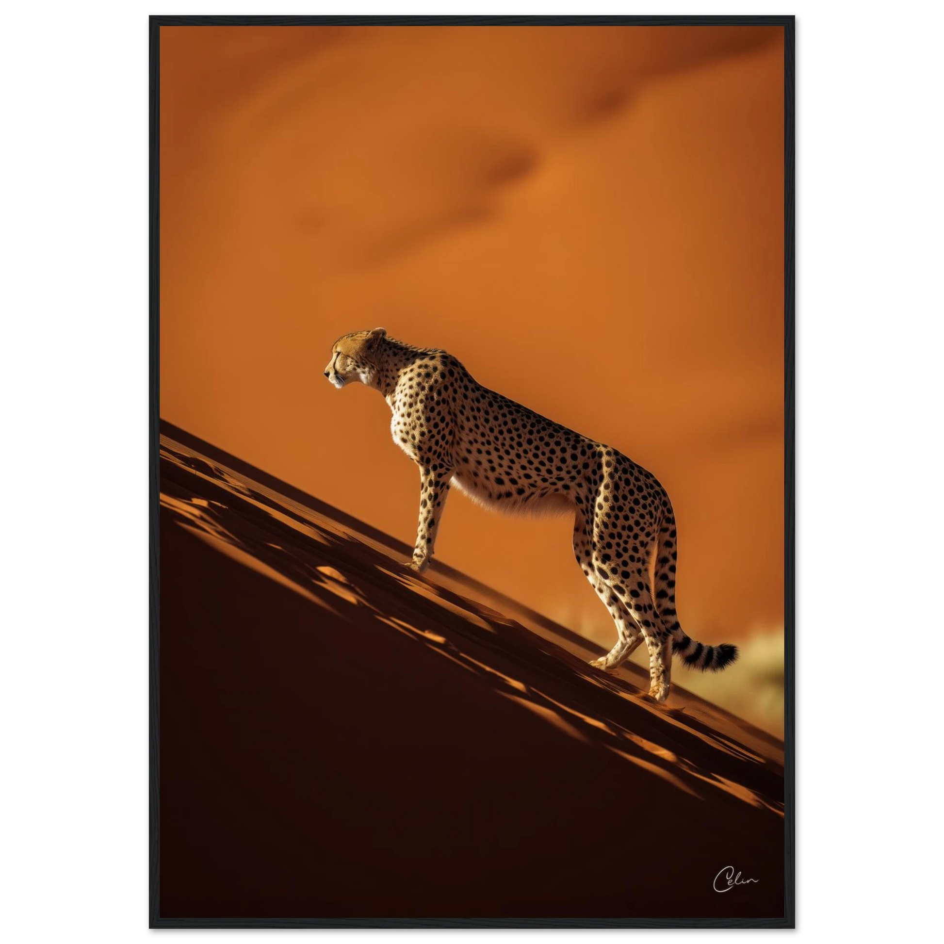 22a20658-daae-426f-a9b3-4f04333e01f9