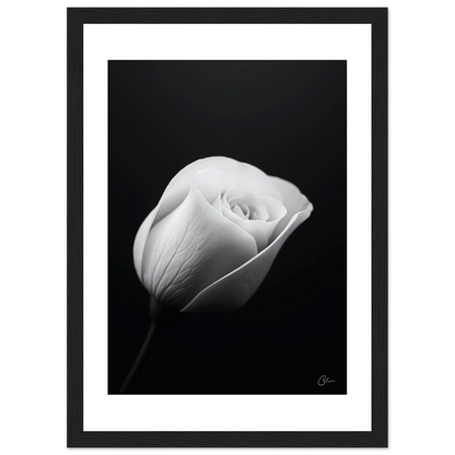 22a2db02-1750-4ce7-b2a5-0c4017aca909