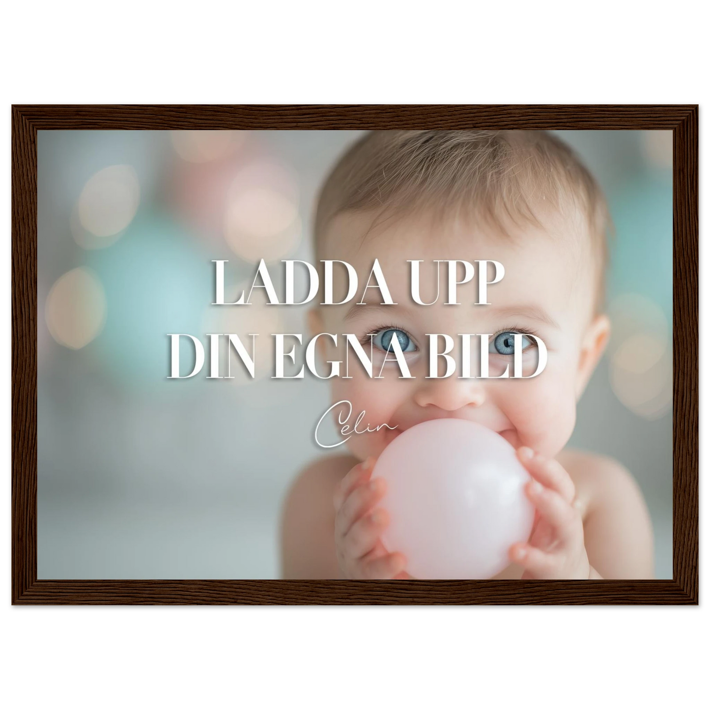 2356ca30-a1c5-498d-8e96-88c9fb5e0cf8