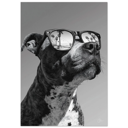 24c197c2-9ff3-4114-8a17-7a7245740a17