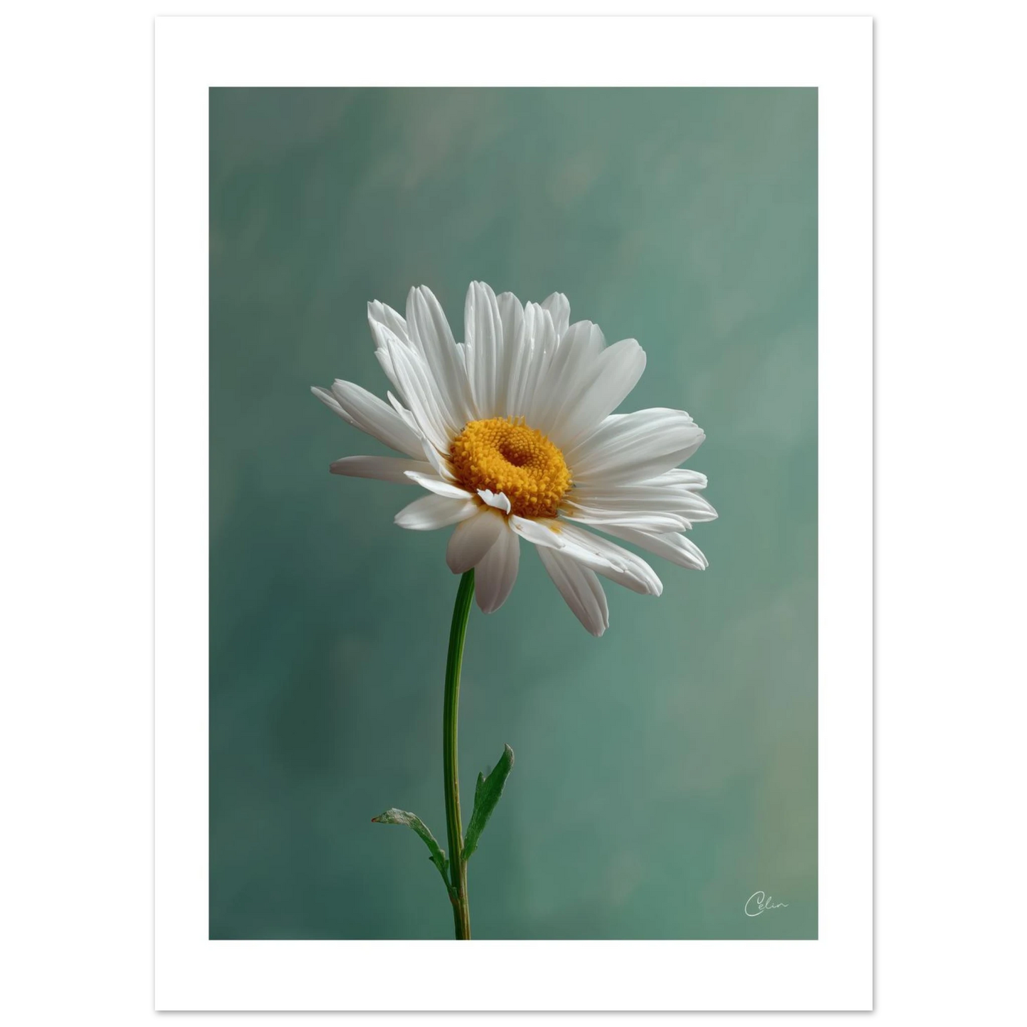 252c4948-3cd6-47e0-a7e5-6688d8bd0384