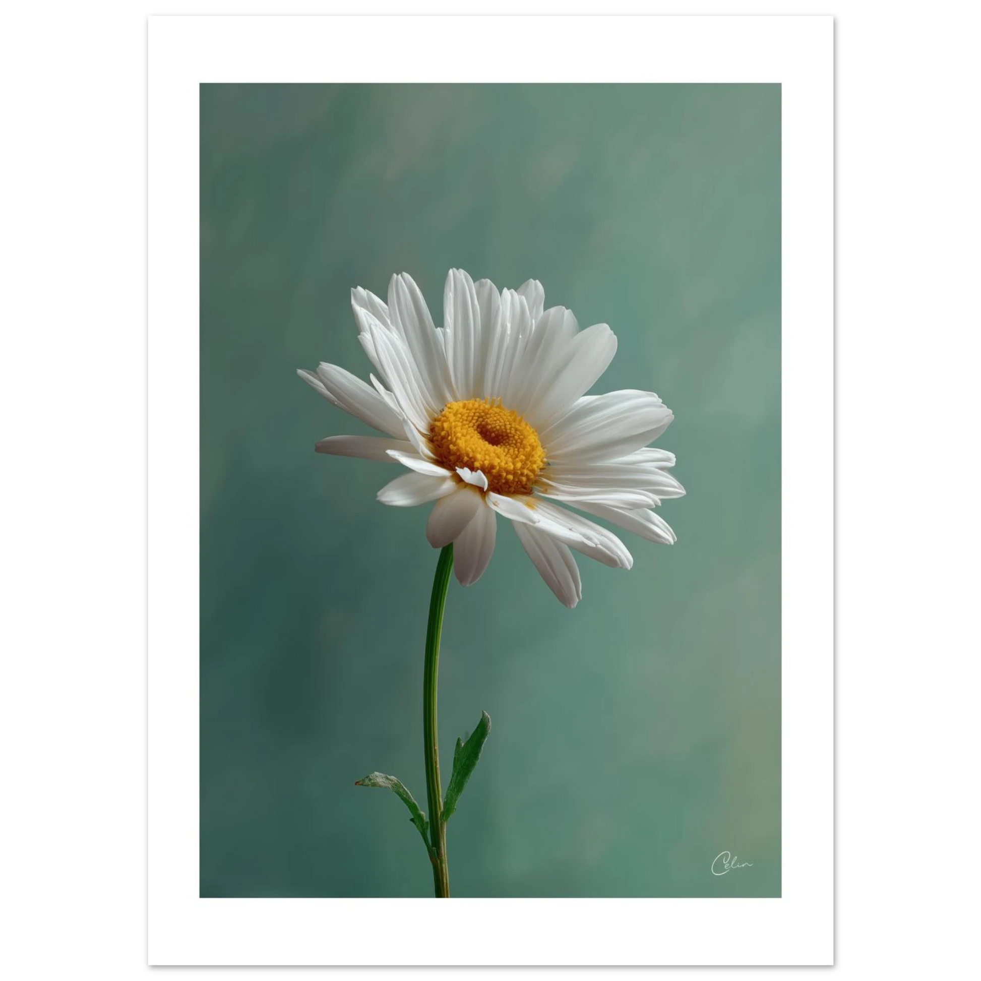 252c4948-3cd6-47e0-a7e5-6688d8bd0384