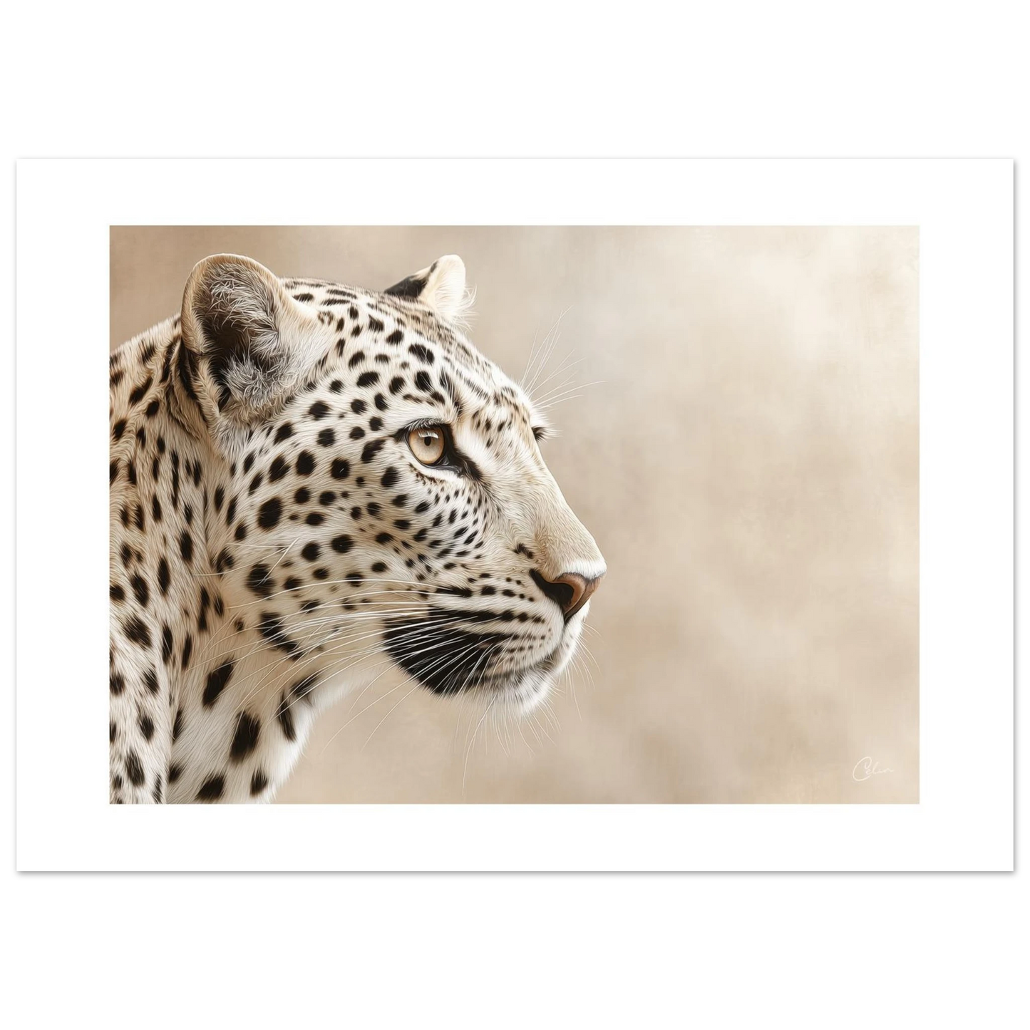 2767a5f9-16c5-4651-ba2f-2d6dccc6eeee