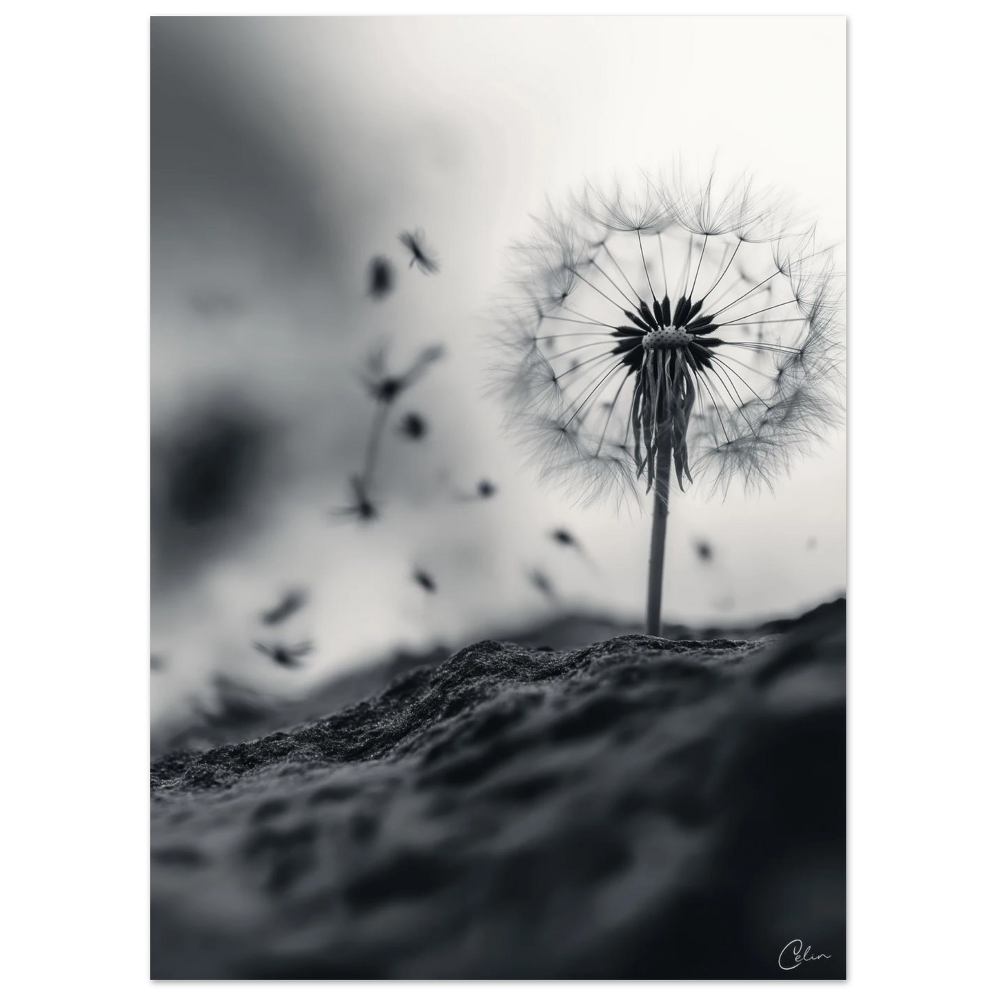 27b4fadc-c350-46d6-82d3-ba4eee001a0d