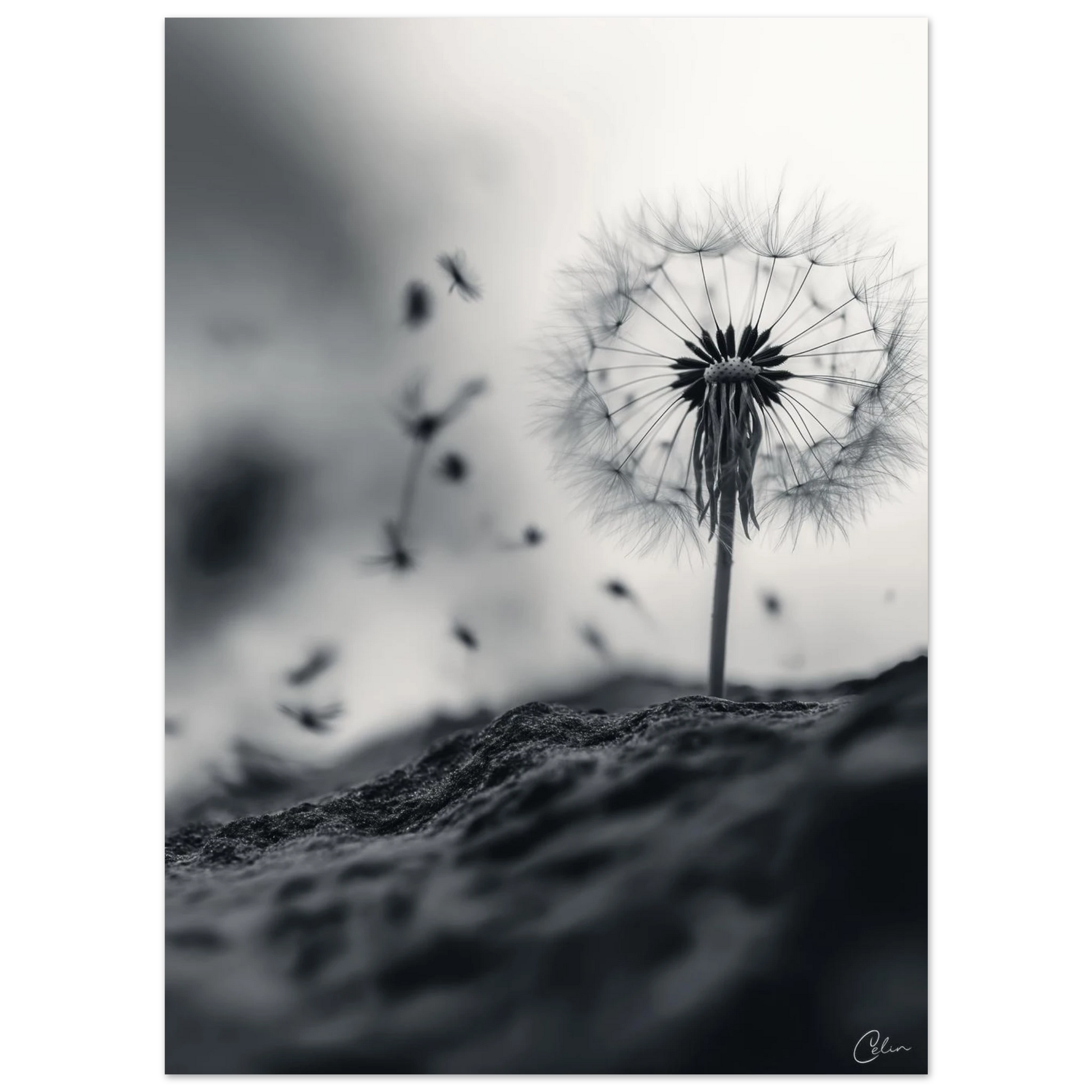 27b4fadc-c350-46d6-82d3-ba4eee001a0d