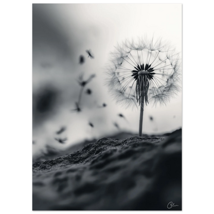 27b4fadc-c350-46d6-82d3-ba4eee001a0d