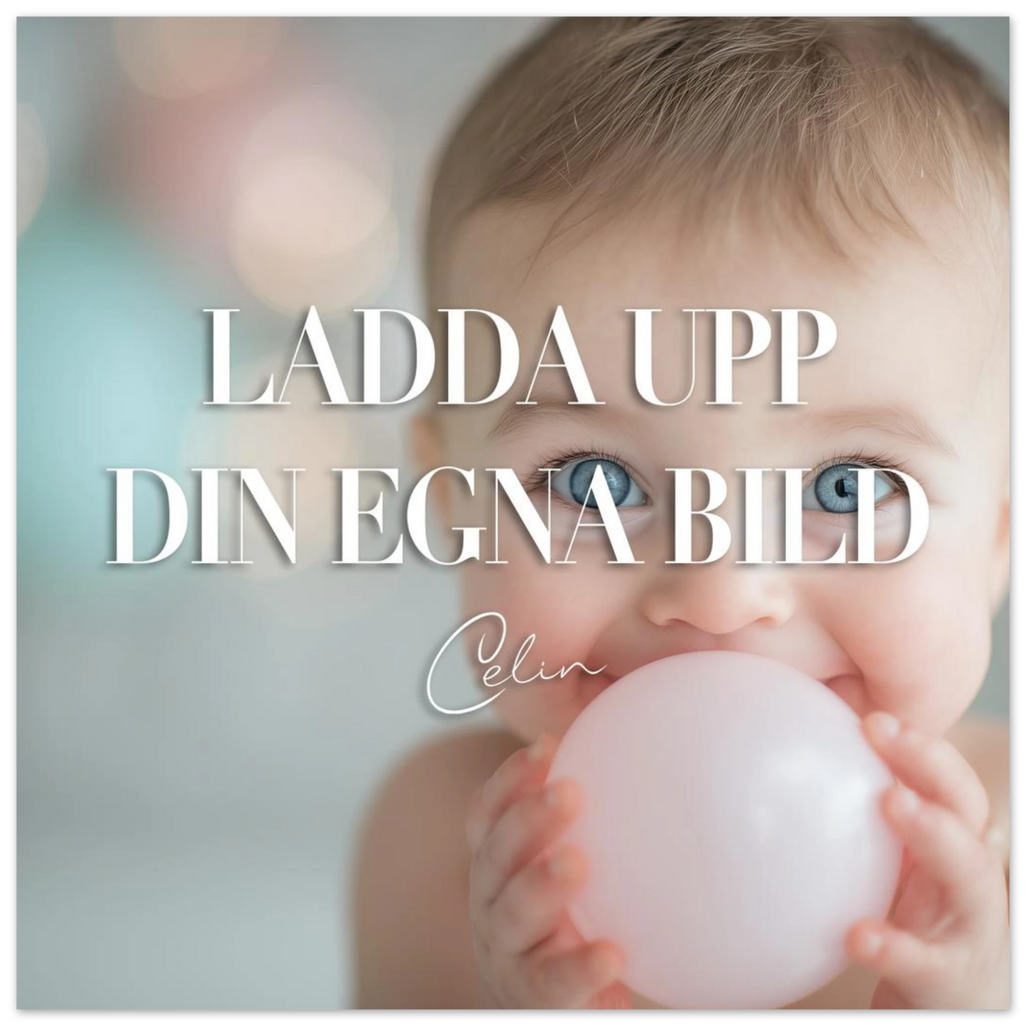 2988356c-bb0a-44d1-90e2-cb7f4d8f8ed9