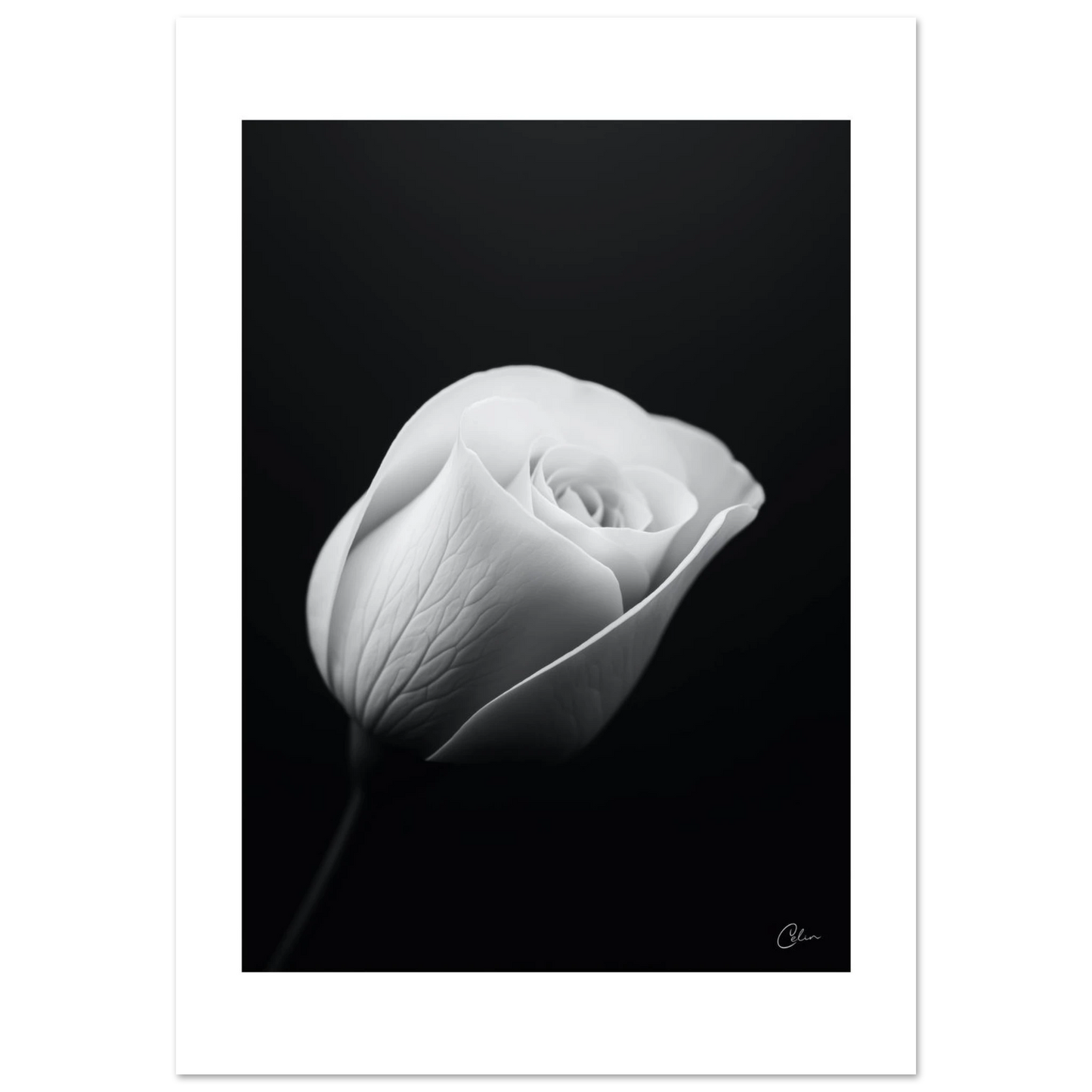 29a975b2-afa9-4bf0-a99c-6297ab5adbe4