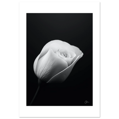 29a975b2-afa9-4bf0-a99c-6297ab5adbe4