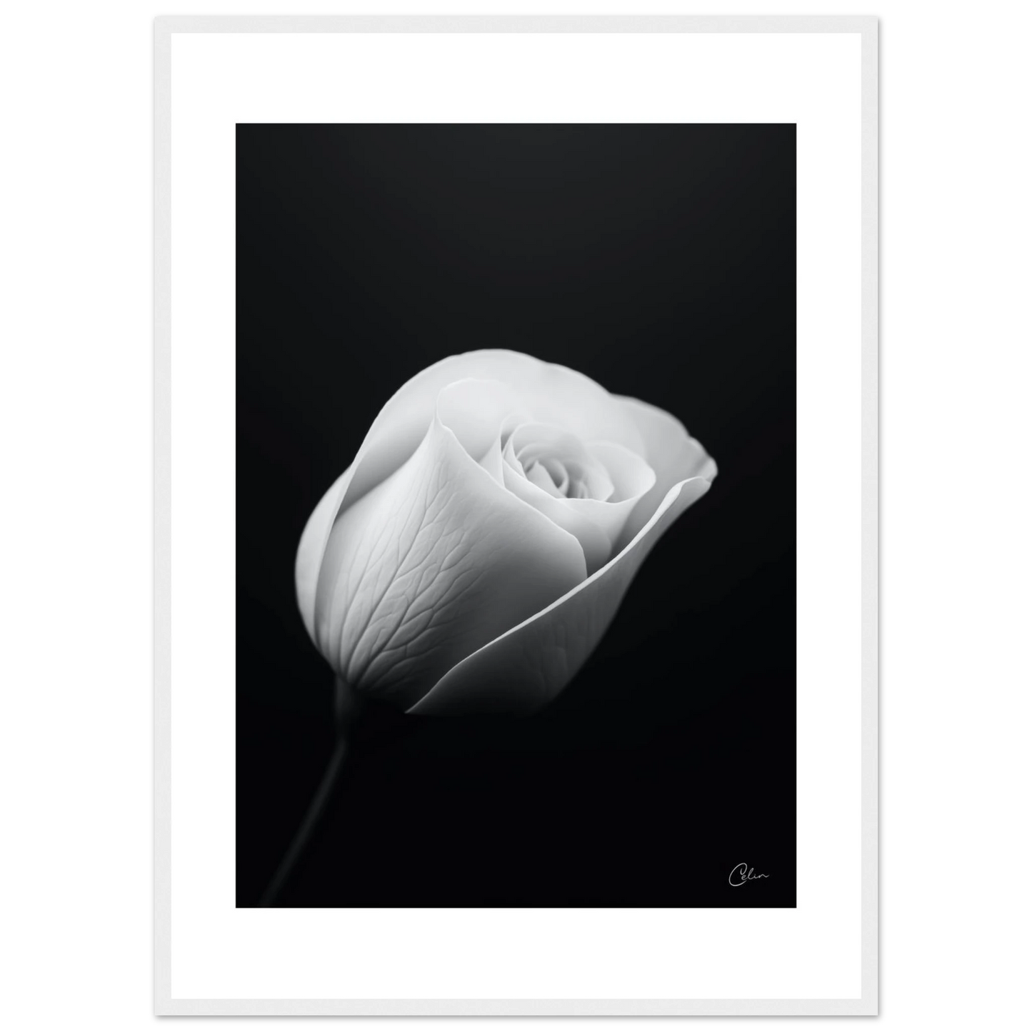 2a4d480d-1298-426b-82c3-26ed48e50ca4