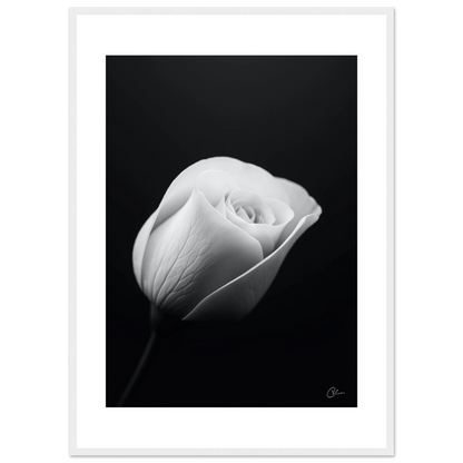 2a4d480d-1298-426b-82c3-26ed48e50ca4