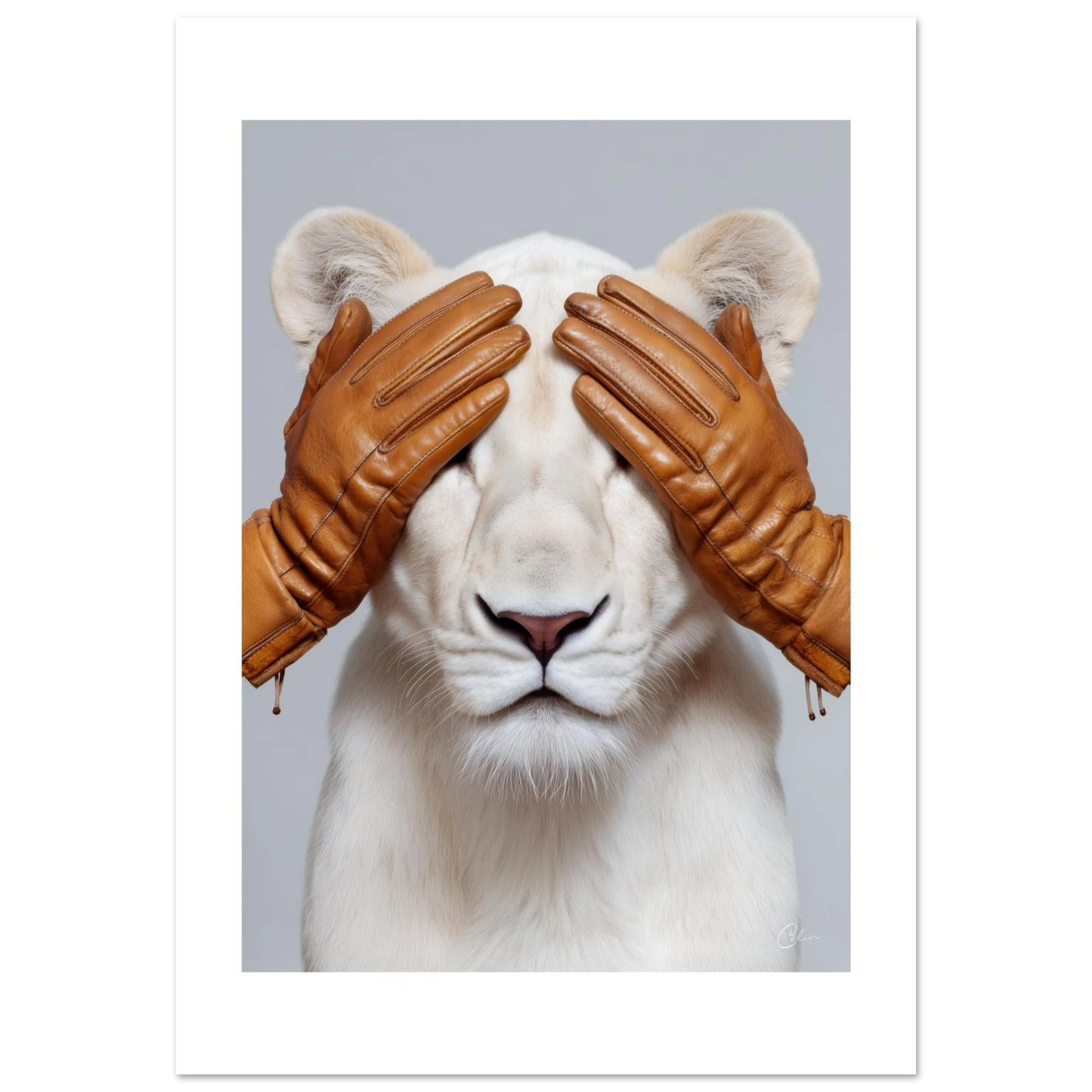 2c12f245-b73f-4539-a30e-d581318a513b