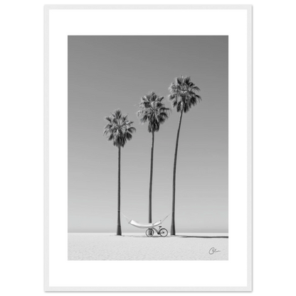 2e505e59-4450-47ca-8c4b-728e4c695578