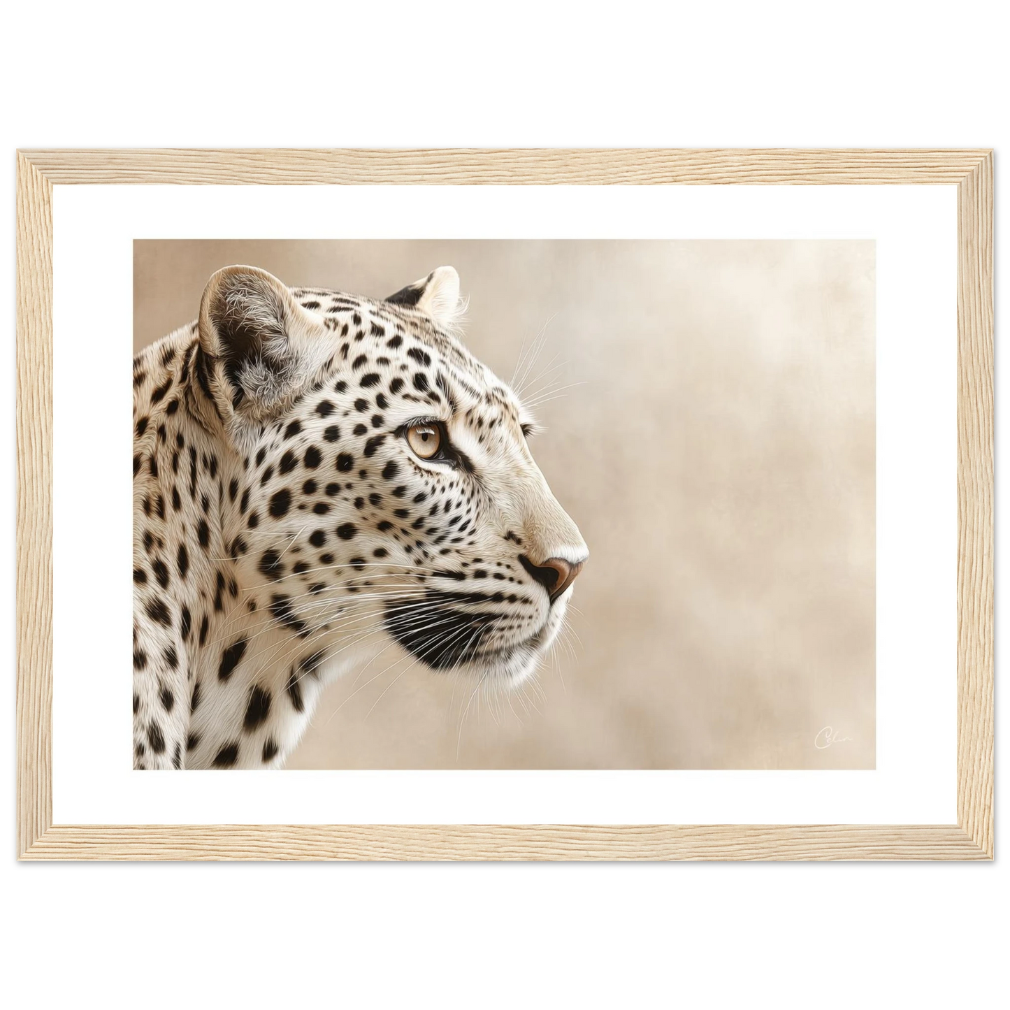 2f7a1a86-c6d2-4c12-b7b9-8d31c228314c