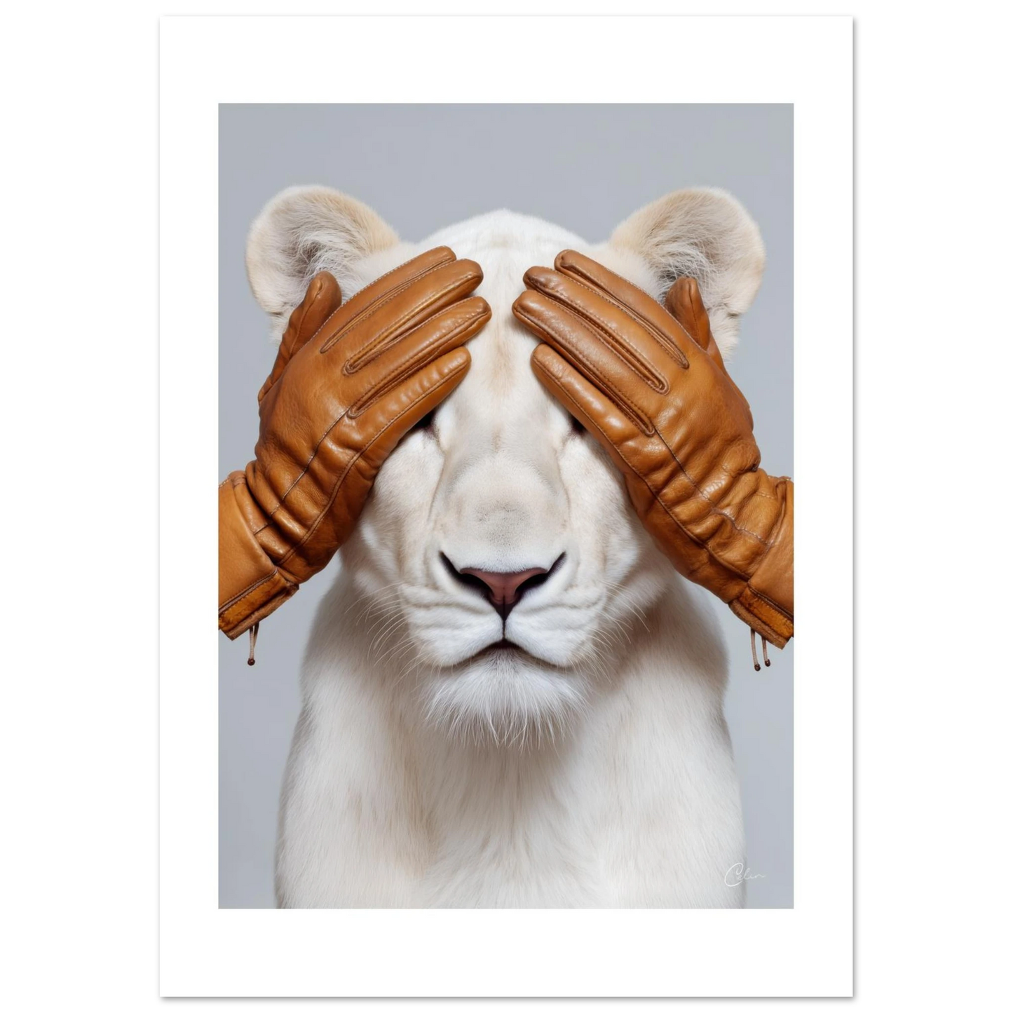 31be9db2-7157-40c3-9e47-d1b721b68327