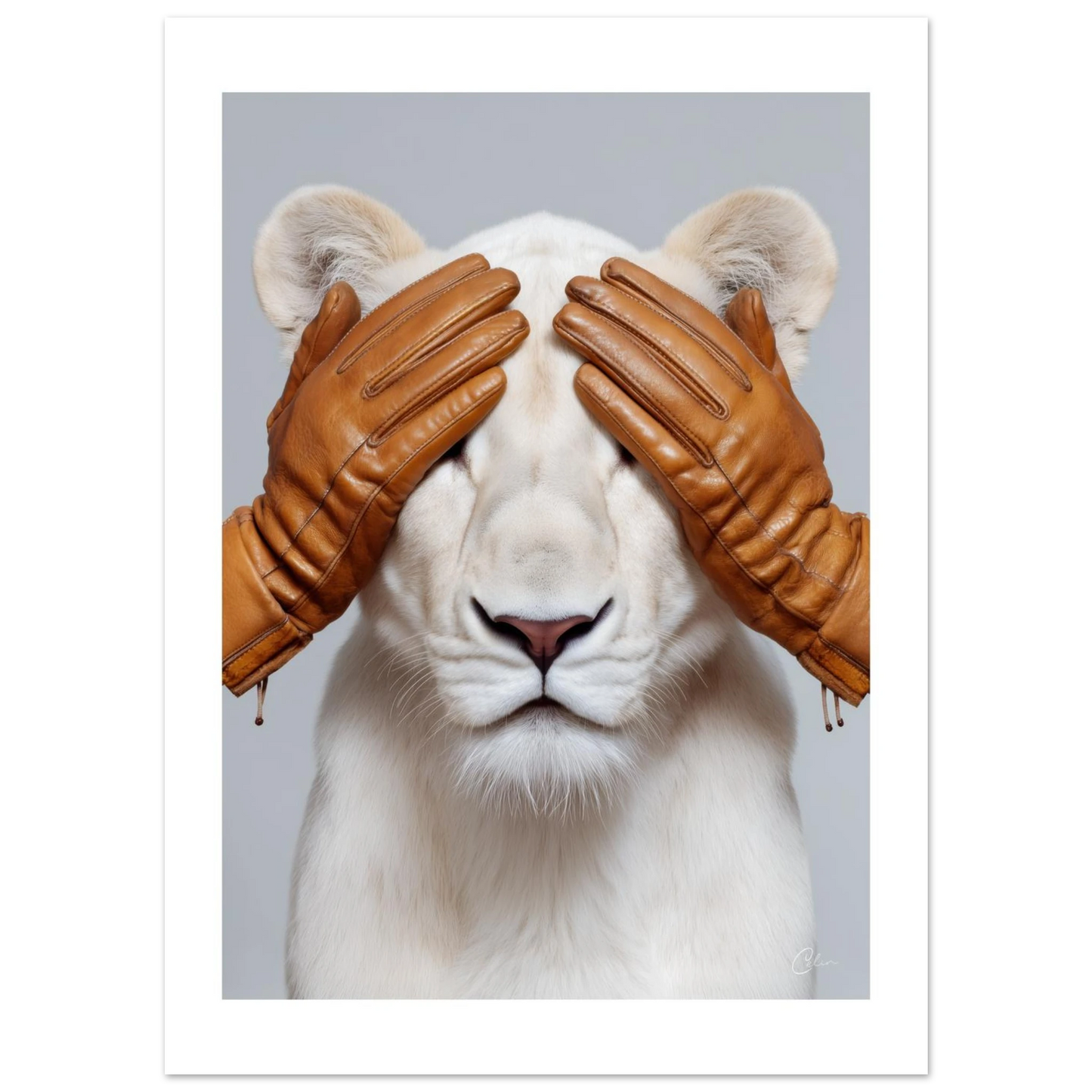 32c2714e-0f40-4a00-b0f7-1715f74504ad