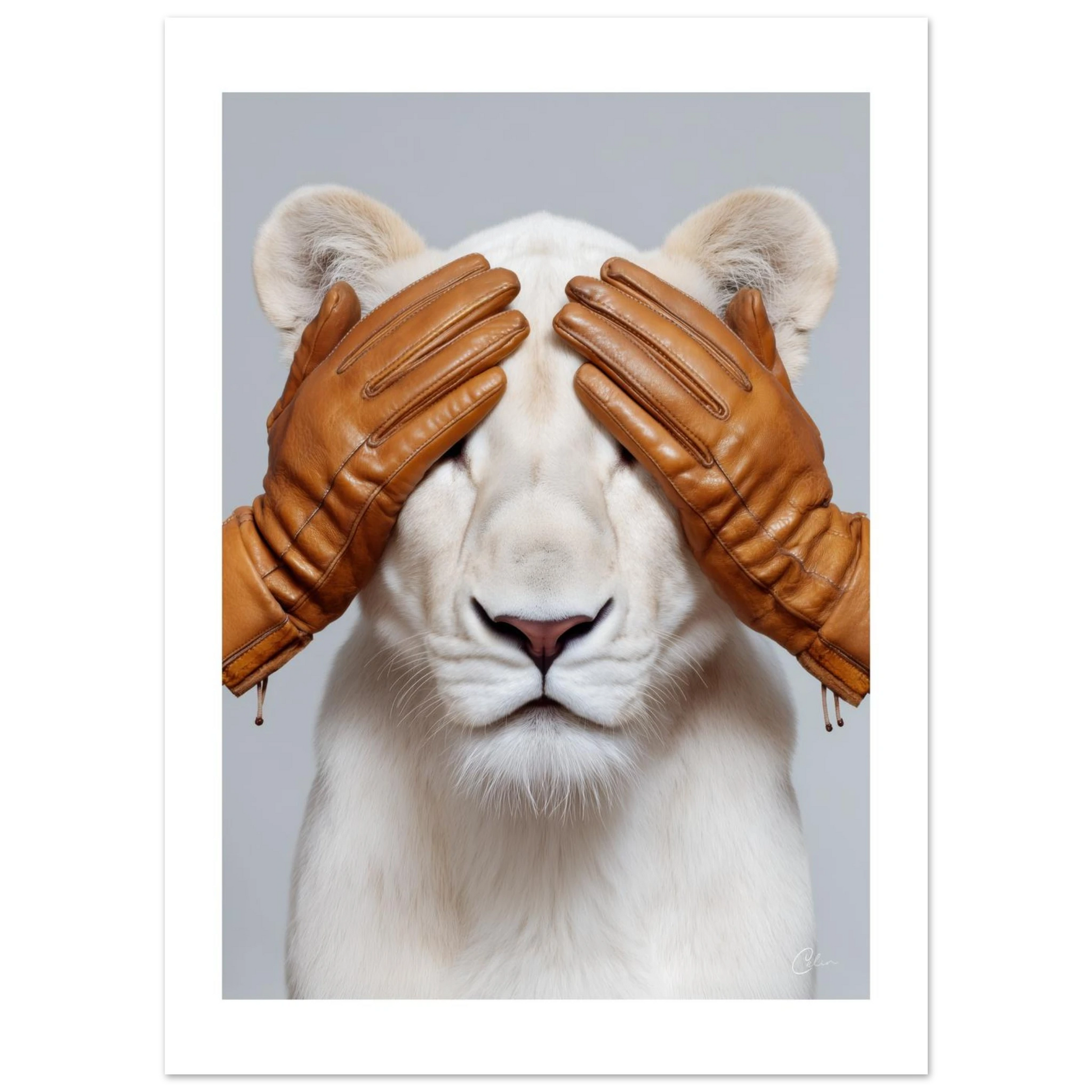 32c2714e-0f40-4a00-b0f7-1715f74504ad