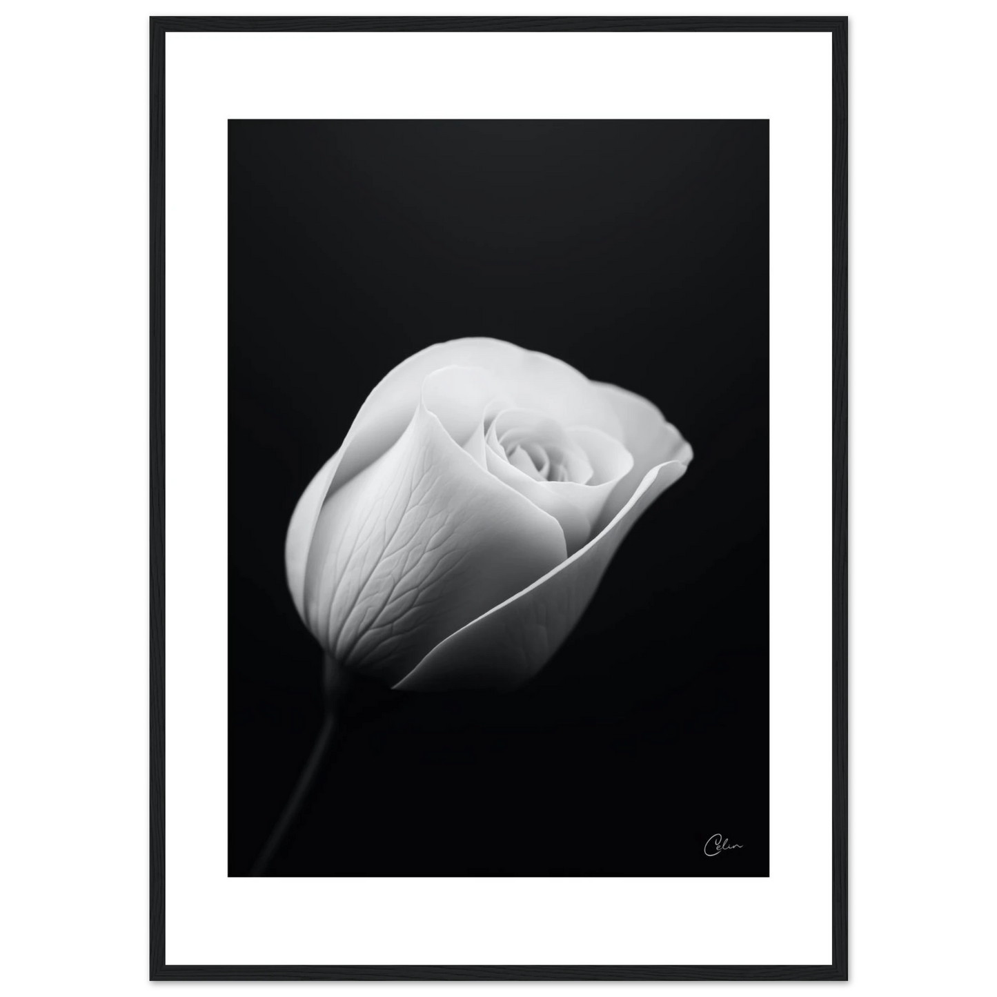 36c59bd8-2b06-4c6c-9f9c-3516979c6326