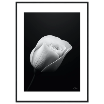 36c59bd8-2b06-4c6c-9f9c-3516979c6326