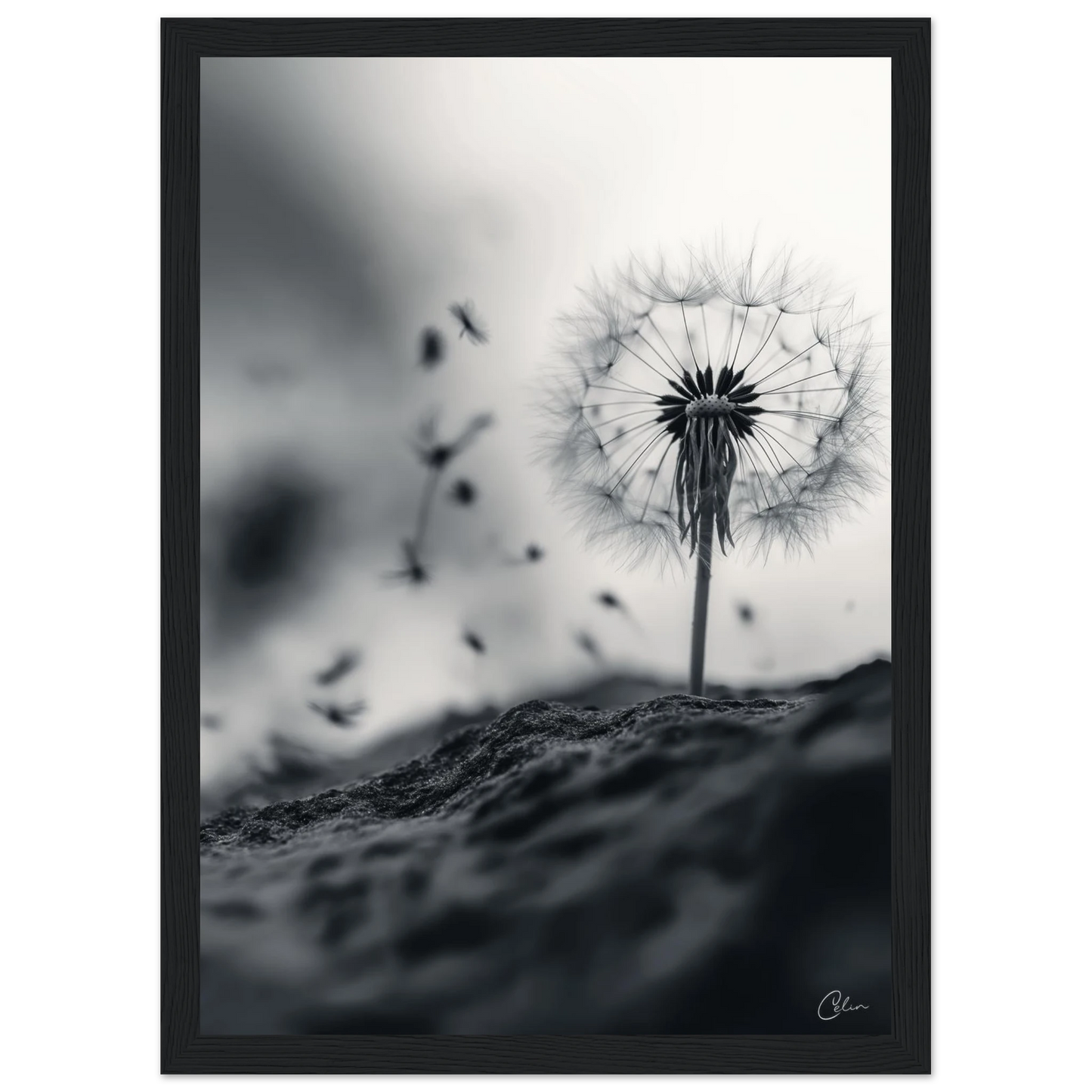 3817e4b2-fbfe-4915-a16f-317fb4e7d245