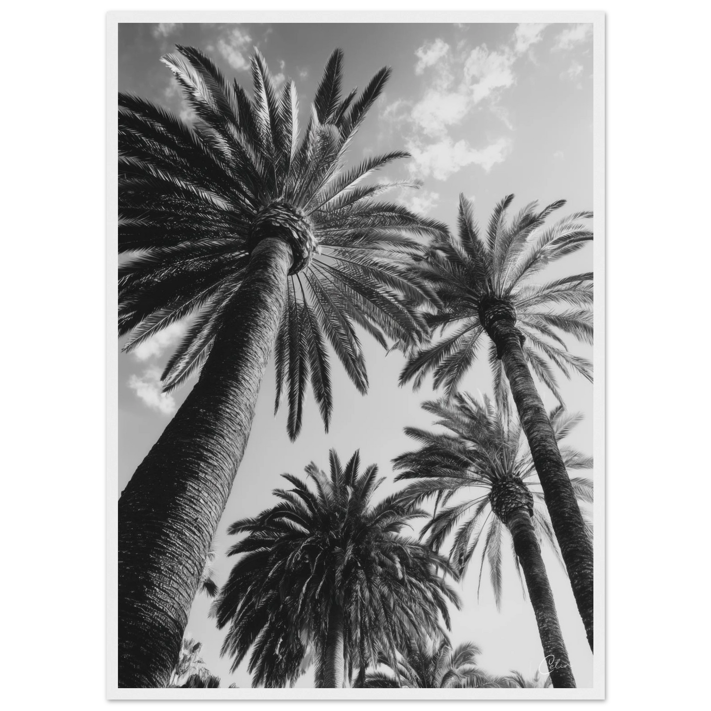 39e21956-8ab2-48c6-9708-fdc34f469648