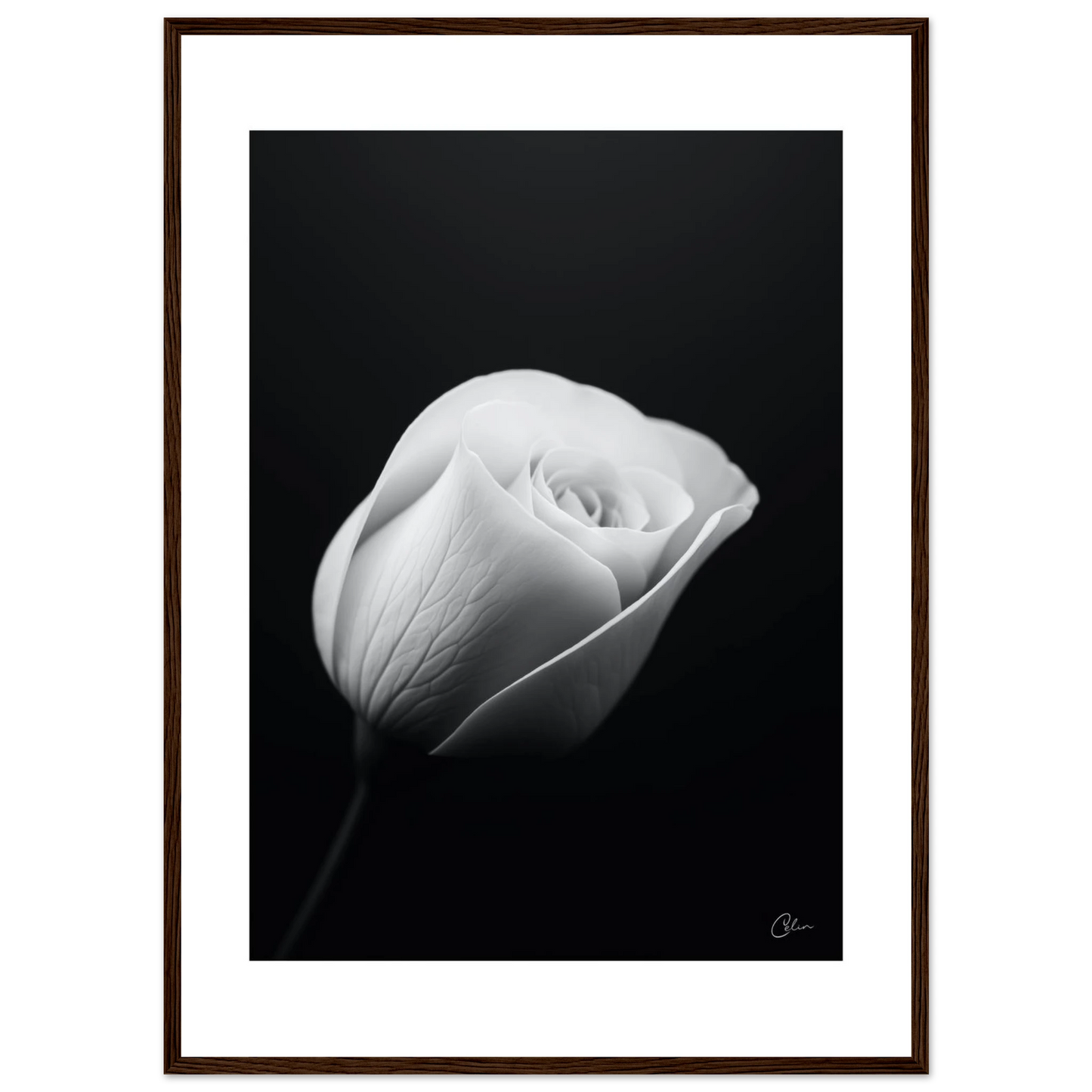 3a1c132a-d3c5-466f-83ce-40b6c91aafa8