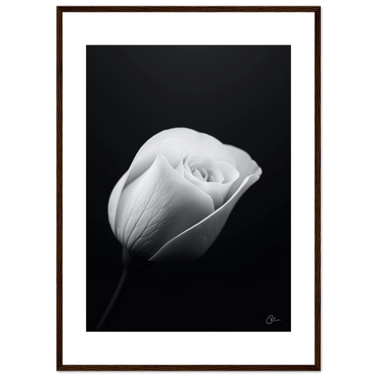 3a1c132a-d3c5-466f-83ce-40b6c91aafa8