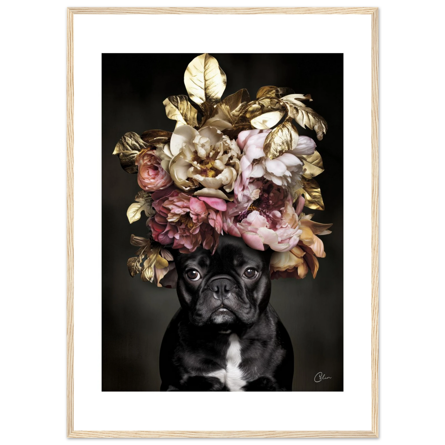 3aa75f39-f383-4777-9def-9bf02606ff72