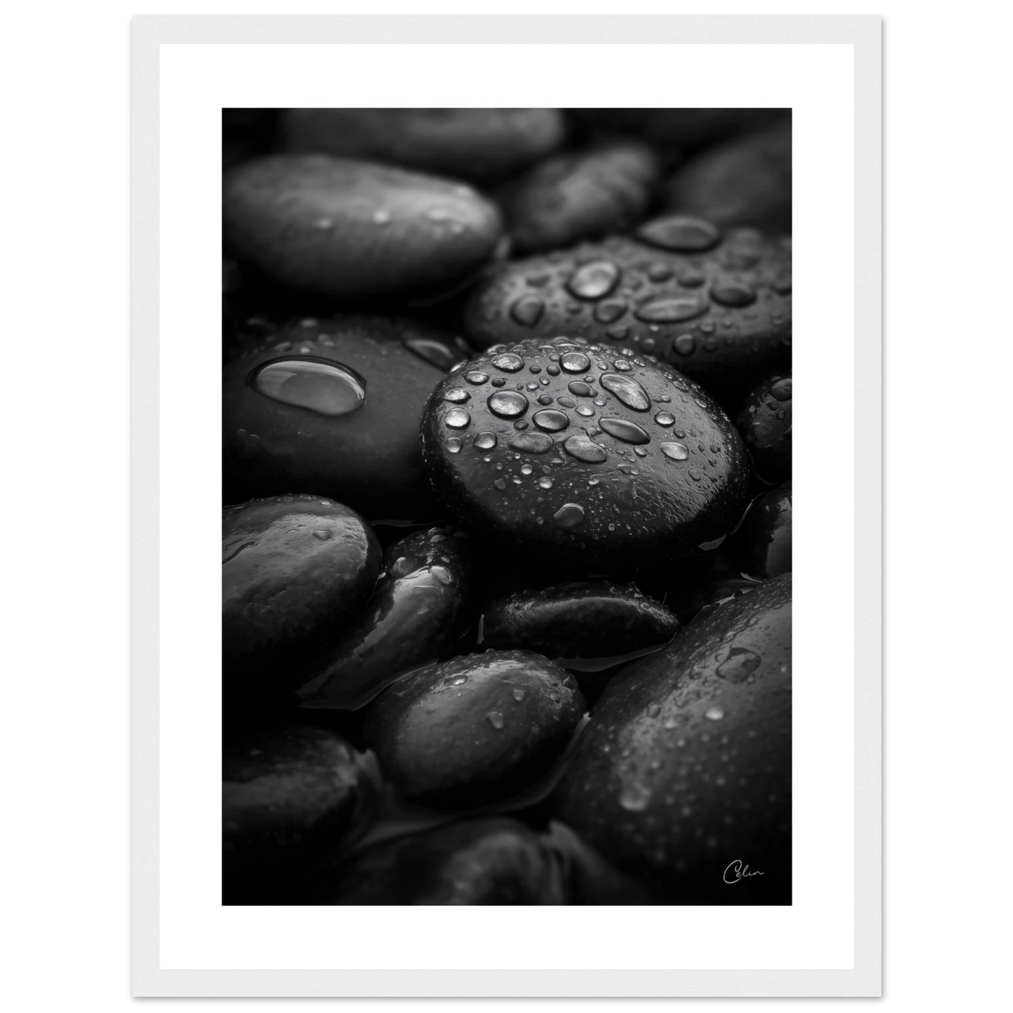 3b8895ae-1425-40b9-89dd-ae2f488f1b74