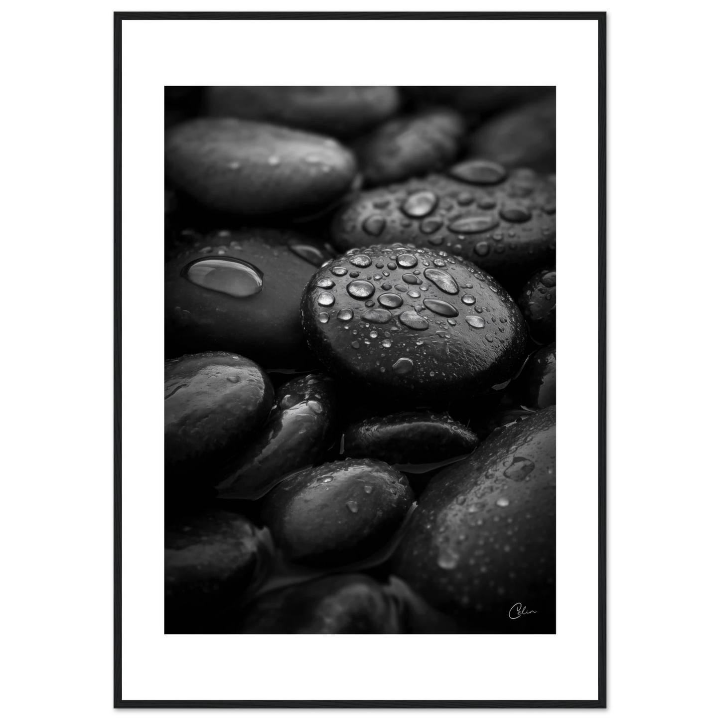 3ed79bb9-3f53-453d-aafa-21f9e8646e5a