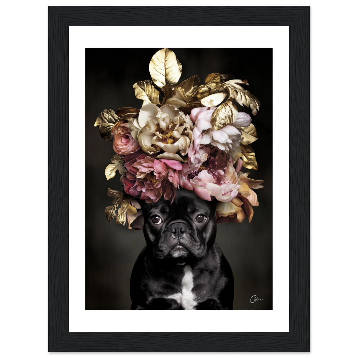 400d72d1-10ee-43e8-9b2b-220c891f6a41