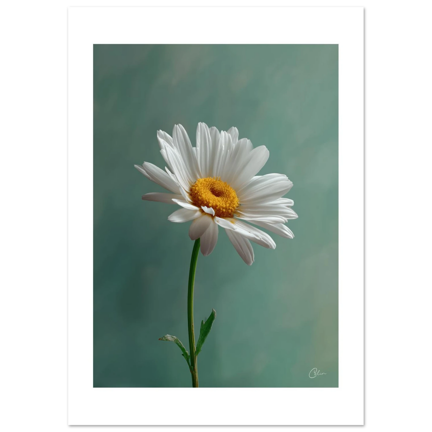 424e989c-ca00-482d-9646-cbf6d6c68ed3