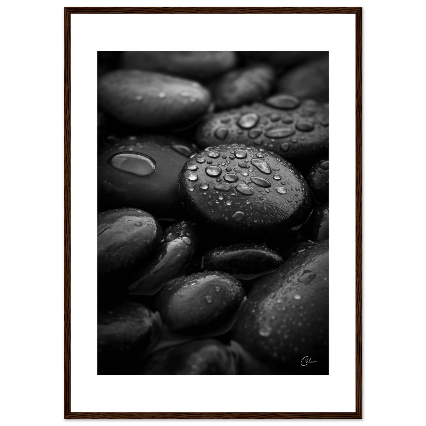 42c8b72d-7ab3-4ee3-959c-182d5d9f834f