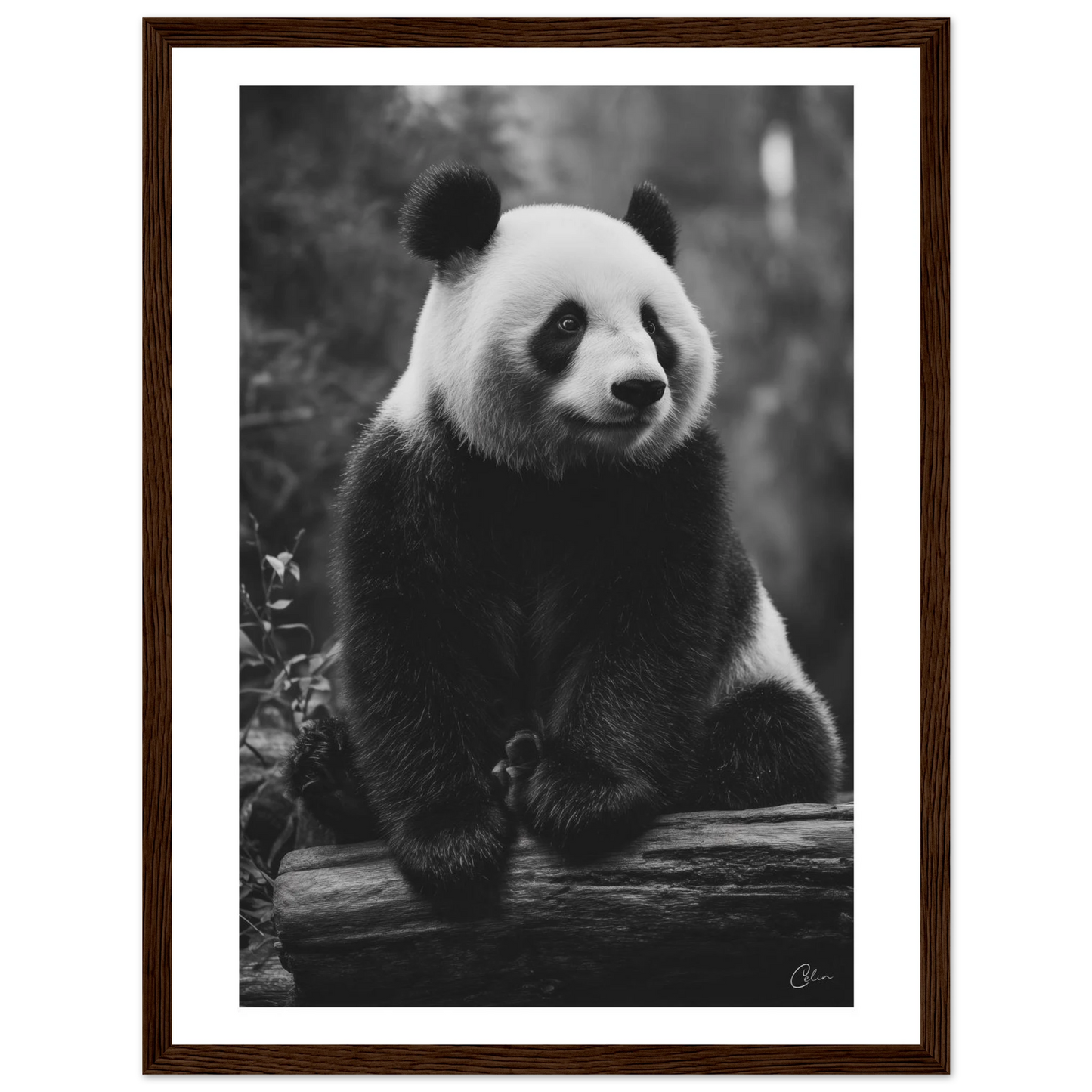 4541ee46-55d8-49f2-9f6c-45bd26cd4905