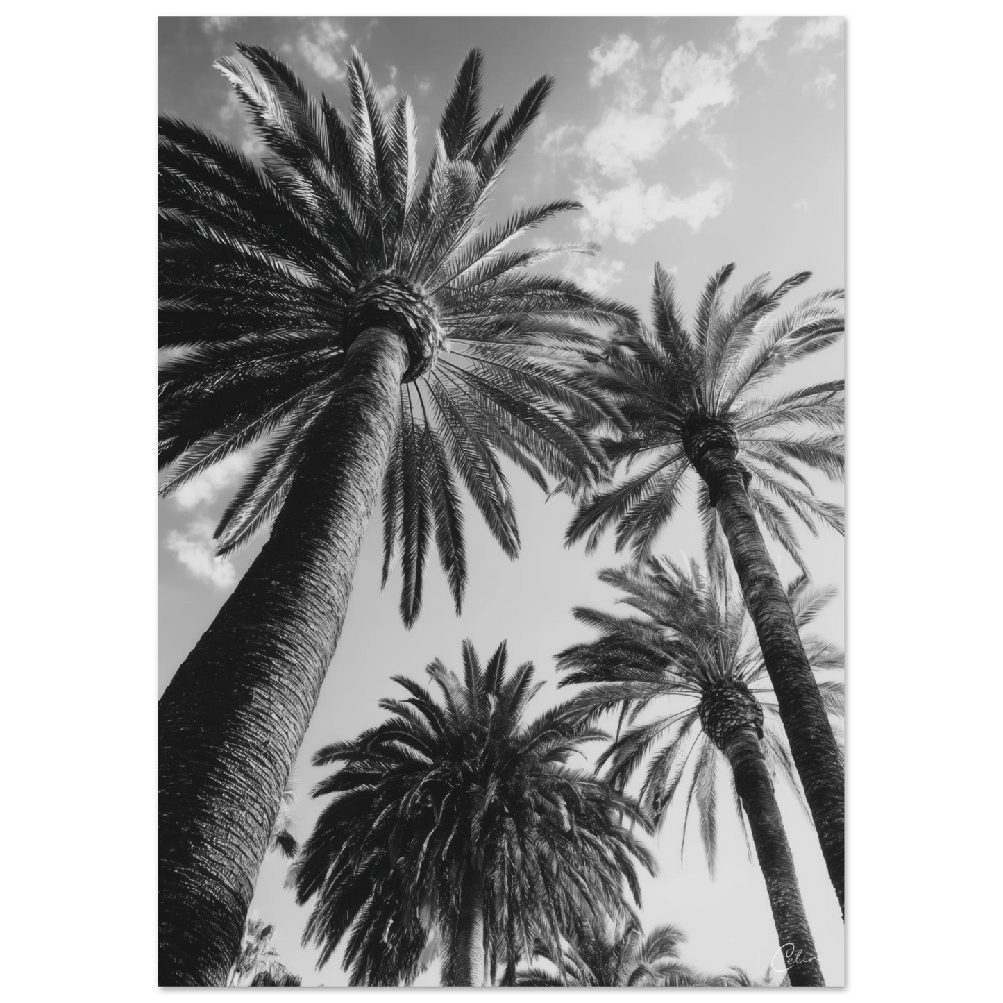 45dc6819-bd52-4d5e-b2ee-662e35e4ecf3