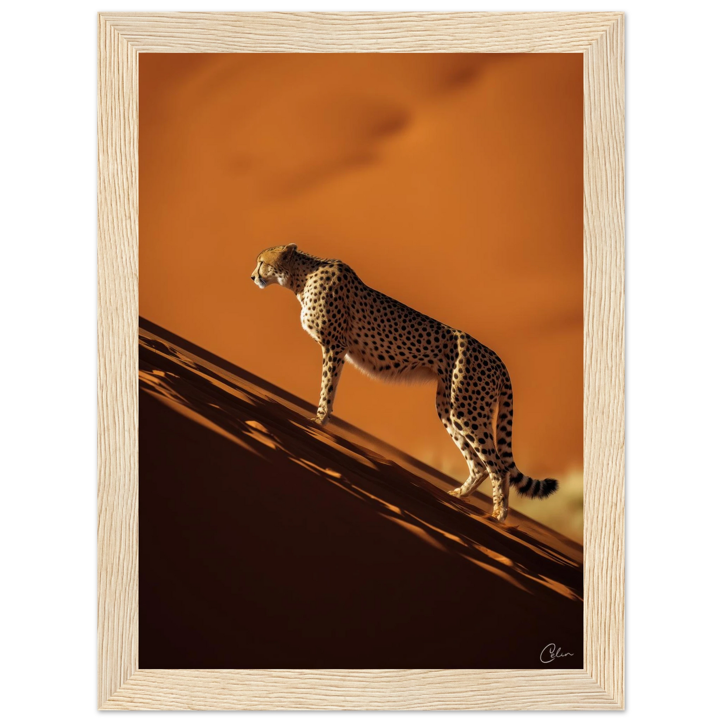 46cf2cff-5a68-459d-8c8f-236e1338a3e5