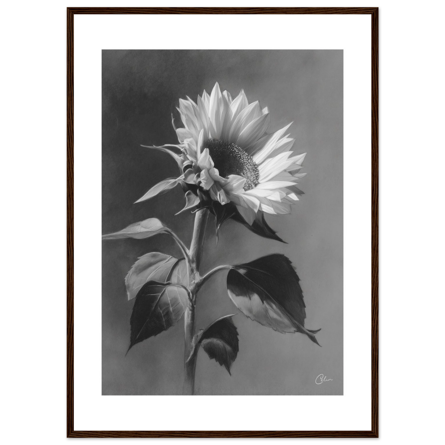 47dcb5bf-90bb-452a-833e-85e42240608c